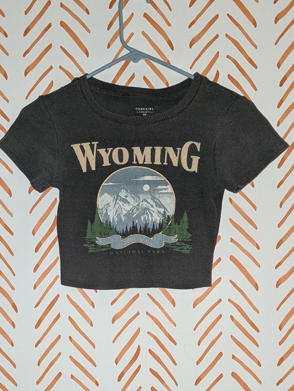 Wyoming Graphic Crop Top - Blue